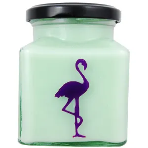 Asian Pear & Plum Classic Flamingo Candle