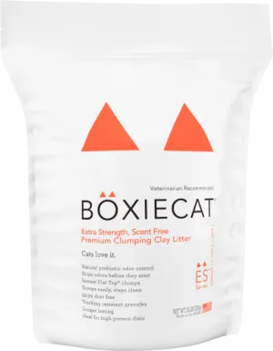 BoxieCat Premium Clumping Clay - Extra Strength Scent Free - Cat Litter