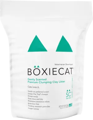 BoxieCat Premium Clumping Clay - Gently Scented - Cat Litter