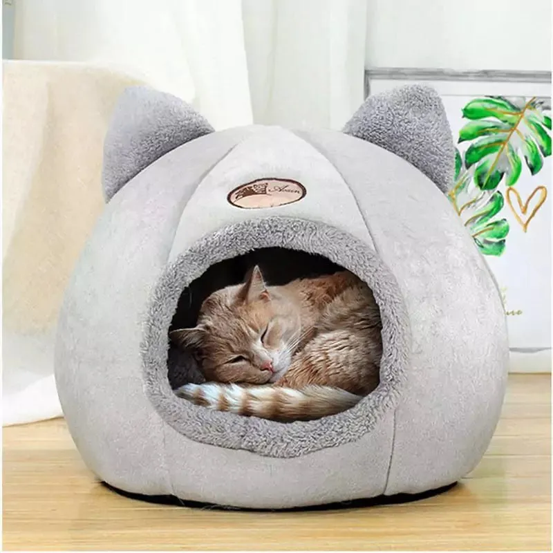 Cat House