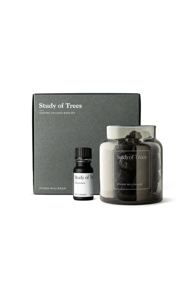 Studio Milligram - Scented Volcanic Rock Set - Study Of Trees