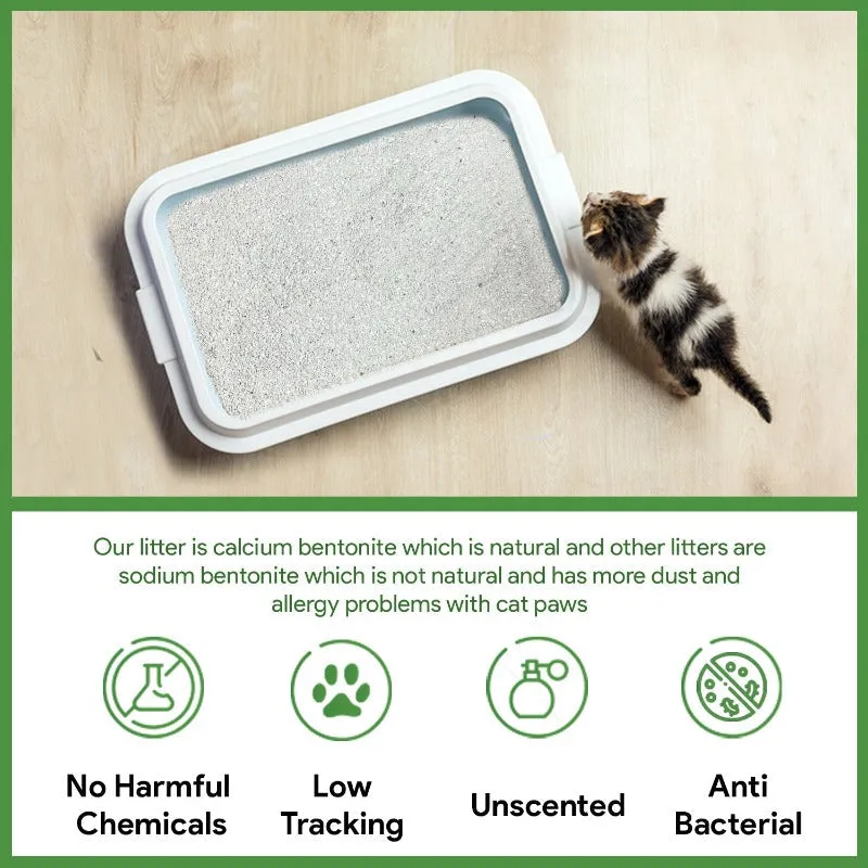 White Bentonite Unscented Cat Litter with Activated Litter Fresh