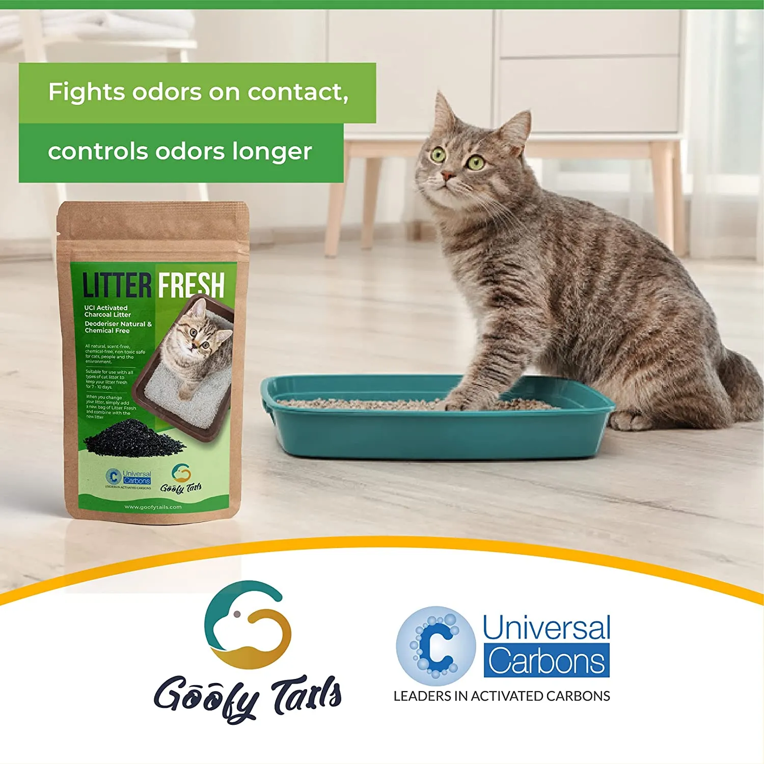 White Bentonite Unscented Cat Litter with Activated Litter Fresh